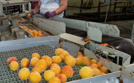 Se necesita encajadoras/es sin experiencia 40h/s