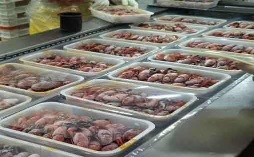 Se necesita 15 personas para envasado y etiquetado de productos