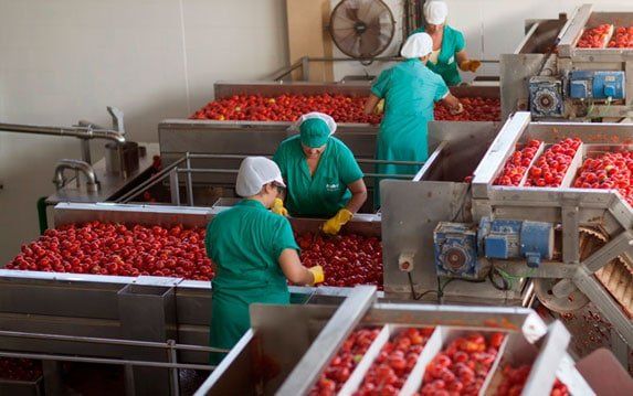Se necesita preparador/a y envasador/a  de fruta y verduras en almacén 1.500-1.800€/mes