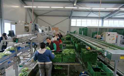 Se necesita 5 personas para envasado ,etiquetado, encajado y paletizado de productos 1.150€/mes