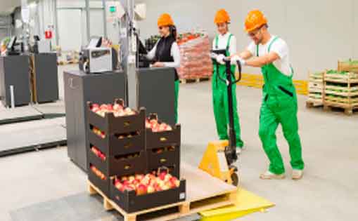 Se necesita 50 personas para trabajar como operario/a de alimentación en un almacén 1.200-1.500€/mes