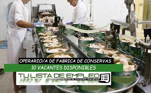 Se necesitan a 10 personas para trabajar en una fábrica de conservas 900-1.200€/mes
