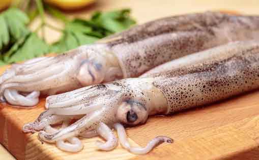 Se necesita 8 personas para limpieza y relleno de calamares, 900 a 1.200€/mes
