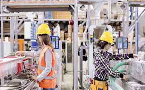 Se necesita 30 personas para fabricación de bolsas de plástico 1.200-1.500€/mes.