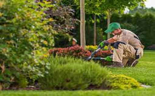 Se requiere personal para jardinero/a 1.200€/mes