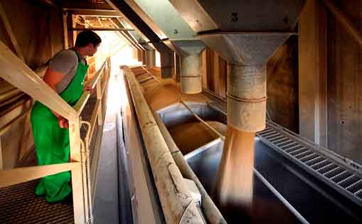 Se necesita 8 personas para trabajar en una fábrica de pienso J.completa
