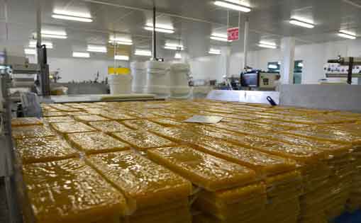 Se necesita 25 personas para envasado y producción de turrón 1.200€/mes