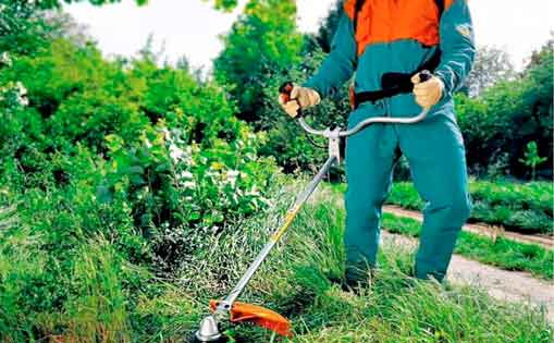 Se necesita 1 persona para servicio doméstico de finca y otra para mantenimiento 1.375€/mes