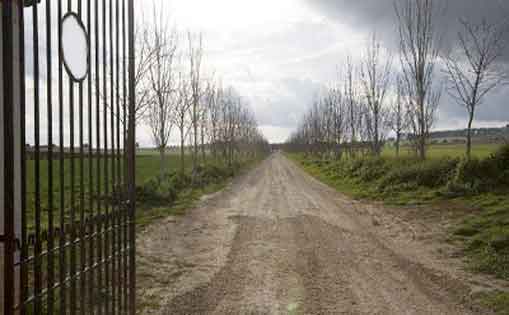 Se busca matrimonio guardeses de finca