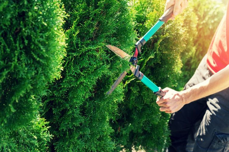 Jardinero/a para empresa
