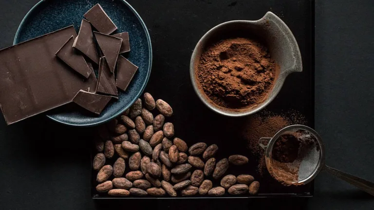 Chocolatero/a para elaborar chocolate