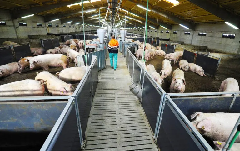Se necesita personal para trabajar como operario/a de granja