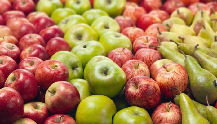 Se necesita personal para envasado de manzanas y peras