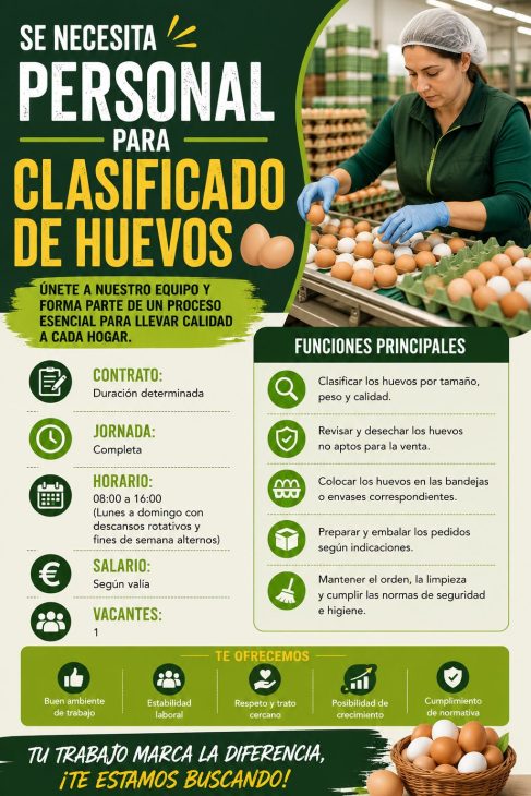 Se necesita personal para clasificado de huevos