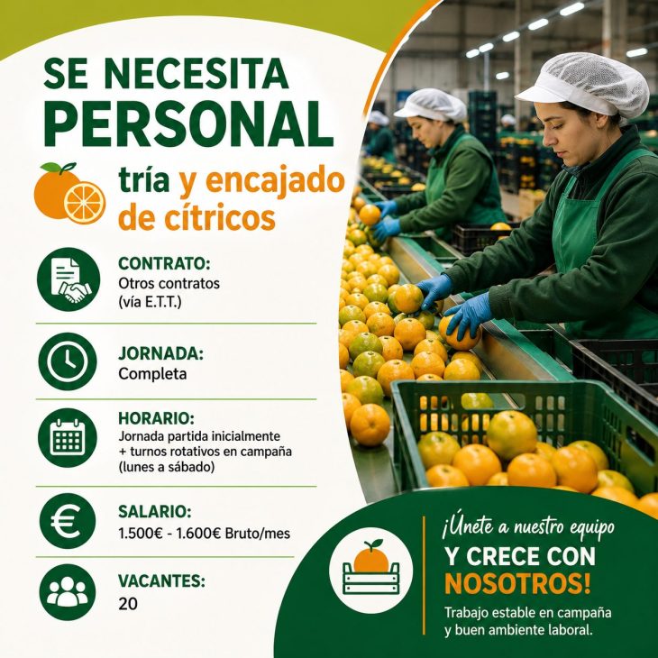 Se necesita personal para tría y encajado de cítricos