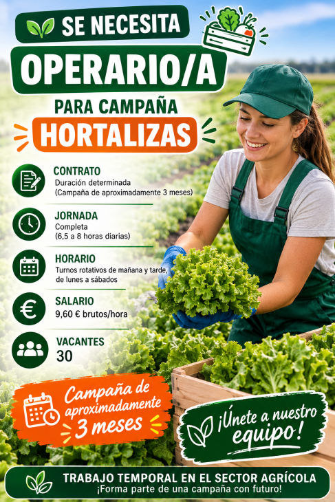 Se necesita operario/a para  campaña hortalizas