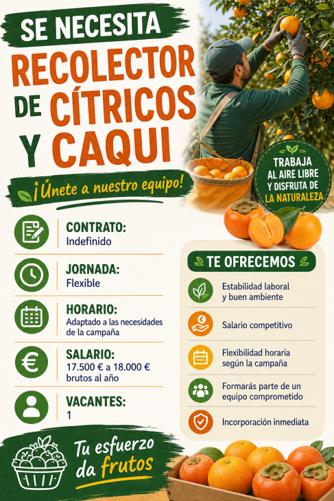 Se necesita recolector de cítricos y caqui