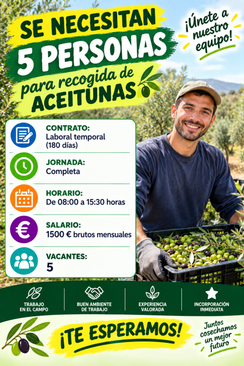 Se necesita 5 personas para recogida de aceitunas